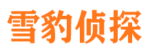 桦川找人公司